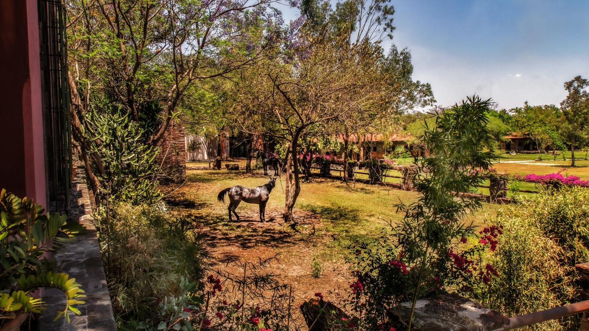 Hacienda Labor De Rivera Hotel Boutique & Eventos Teuchitlán Exteriör bild